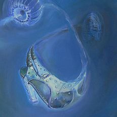 the jellyfish shoe | 50 x 40 cm
