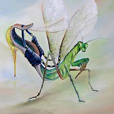 the mantis shoe | 40 x 50 cm