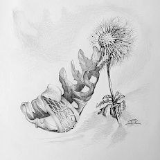 Löwenzahn Schuh | 22 x 22 cm