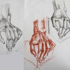 Handstudien | Grafit, Rötel, Kohle | 70 x 50 cm